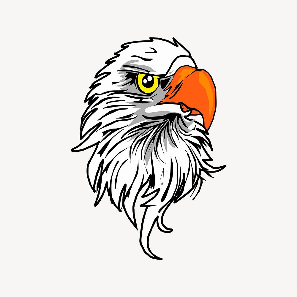 Eagle illustration. Free public domain CC0 image.