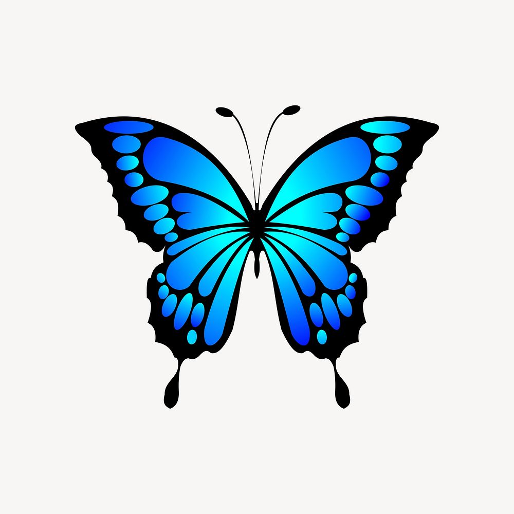 Butterfly illustration. Free public domain CC0 image.