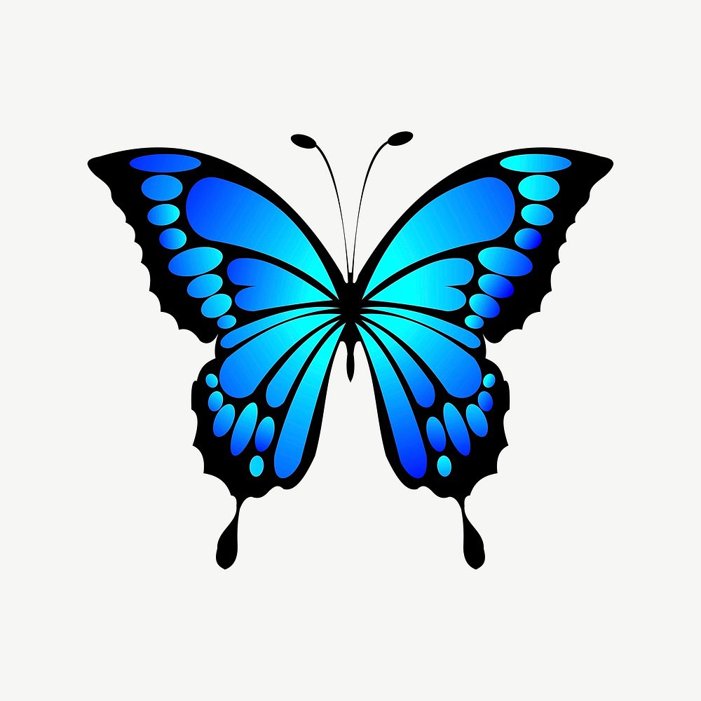 Butterfly clipart psd. Free public domain CC0 image.