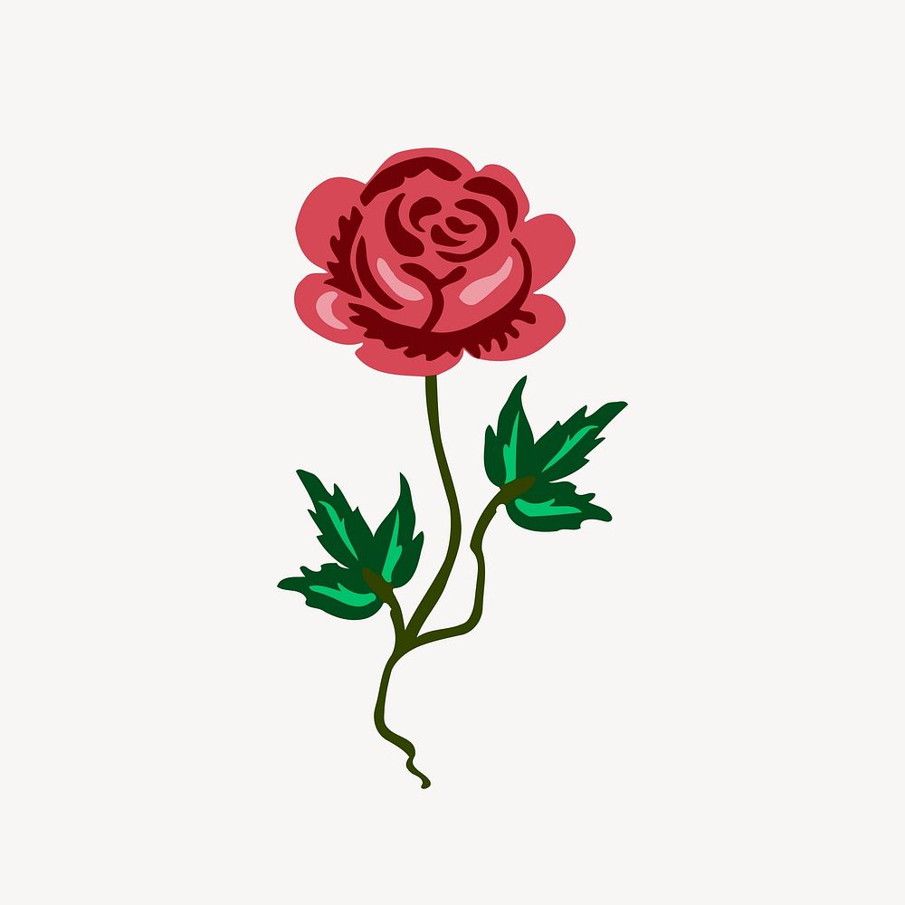 Rose flower illustration. Free public domain CC0 image.