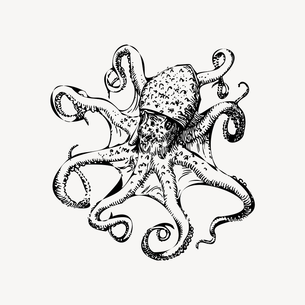 Octopus clip art vector. Free public domain CC0 image.