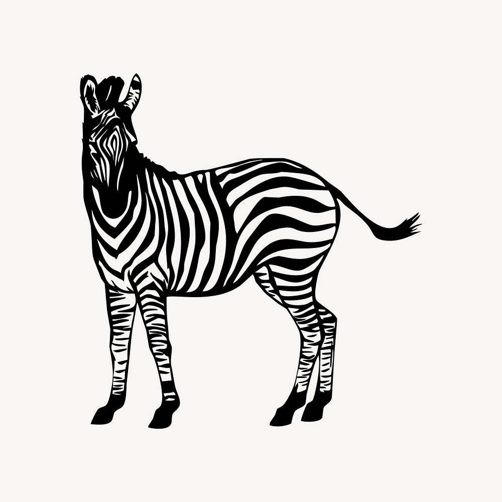 Zebra clipart vector. Free public domain CC0 image.