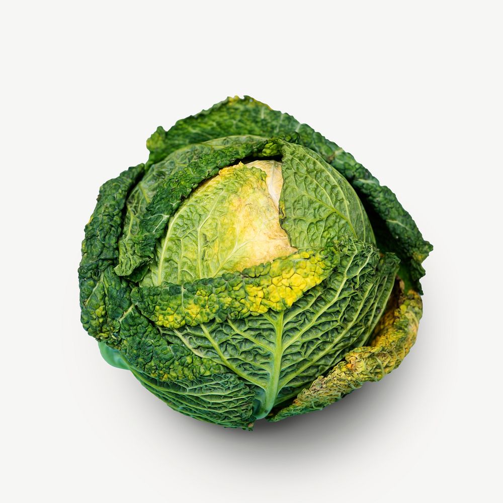 Cabbage vegetable collage element psd