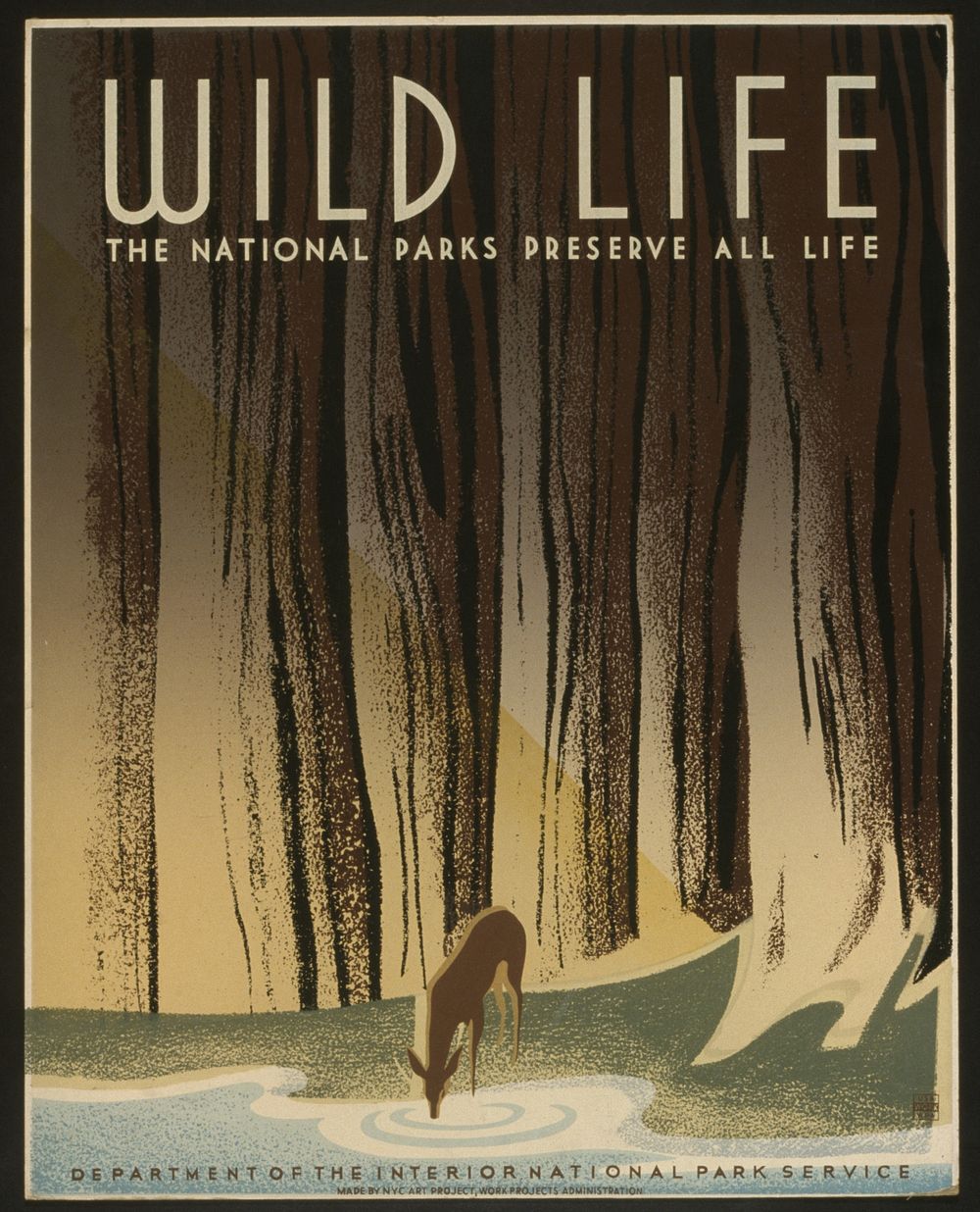 Wild life The national parks preserve all life.