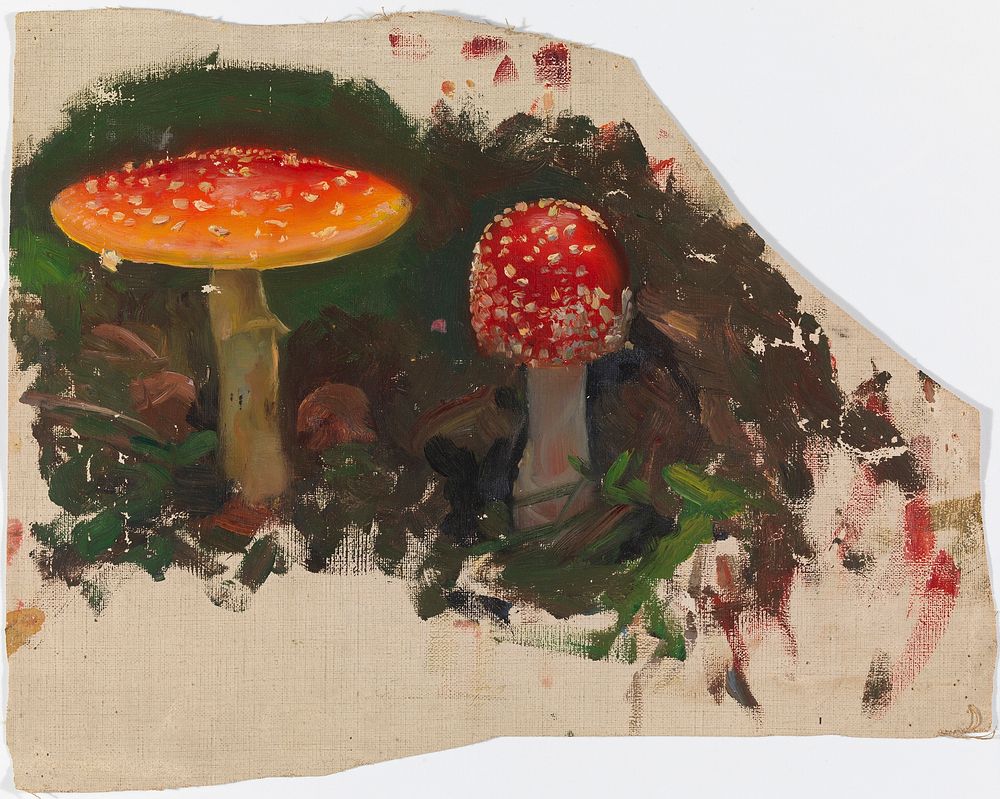Two fly agarics, sketch for the painting fairy tale princess, 1895 - 1896, by Thorsten Wasastjerna