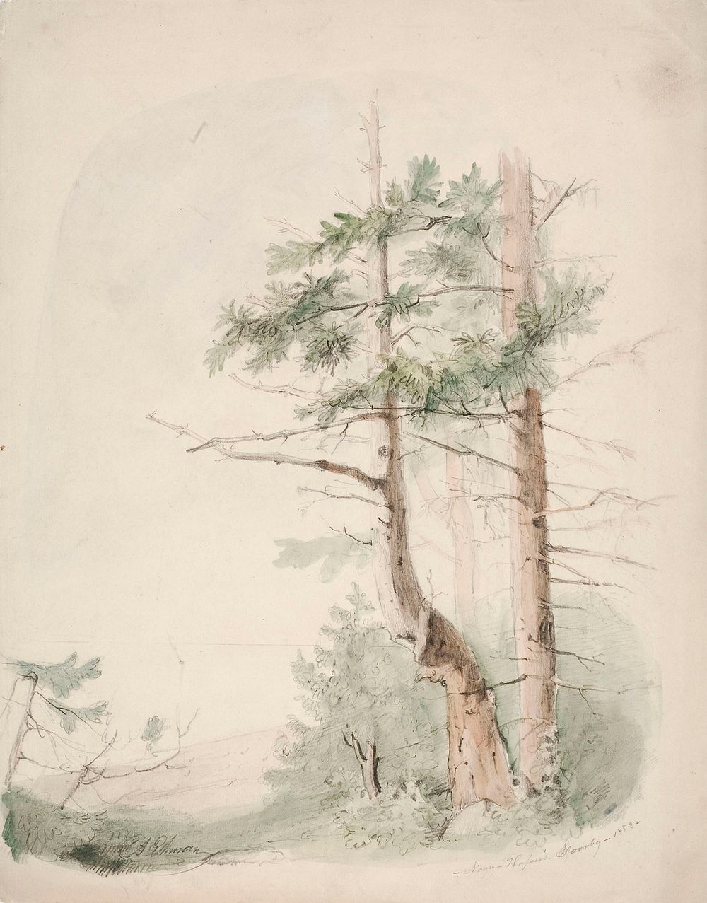 Seaside landscape "nagu-hafverö-norrby", 1853, Anders Ekman