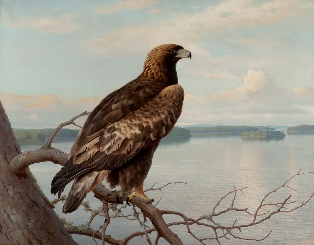Golden eagle by a lake, 1897, by Ferdinand von Wright