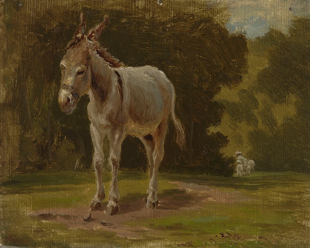 Ass, 1854, Werner Holmberg