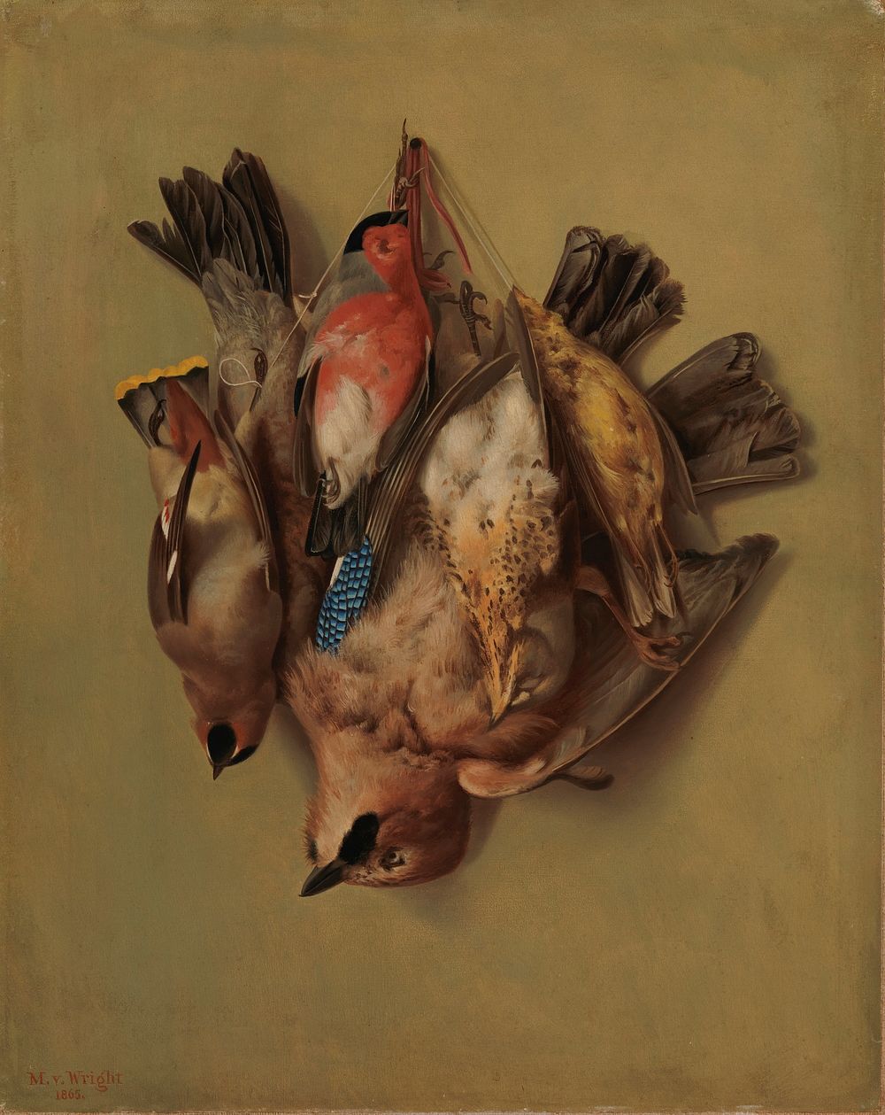 Hanging birds, 1865, Magnus von Wright