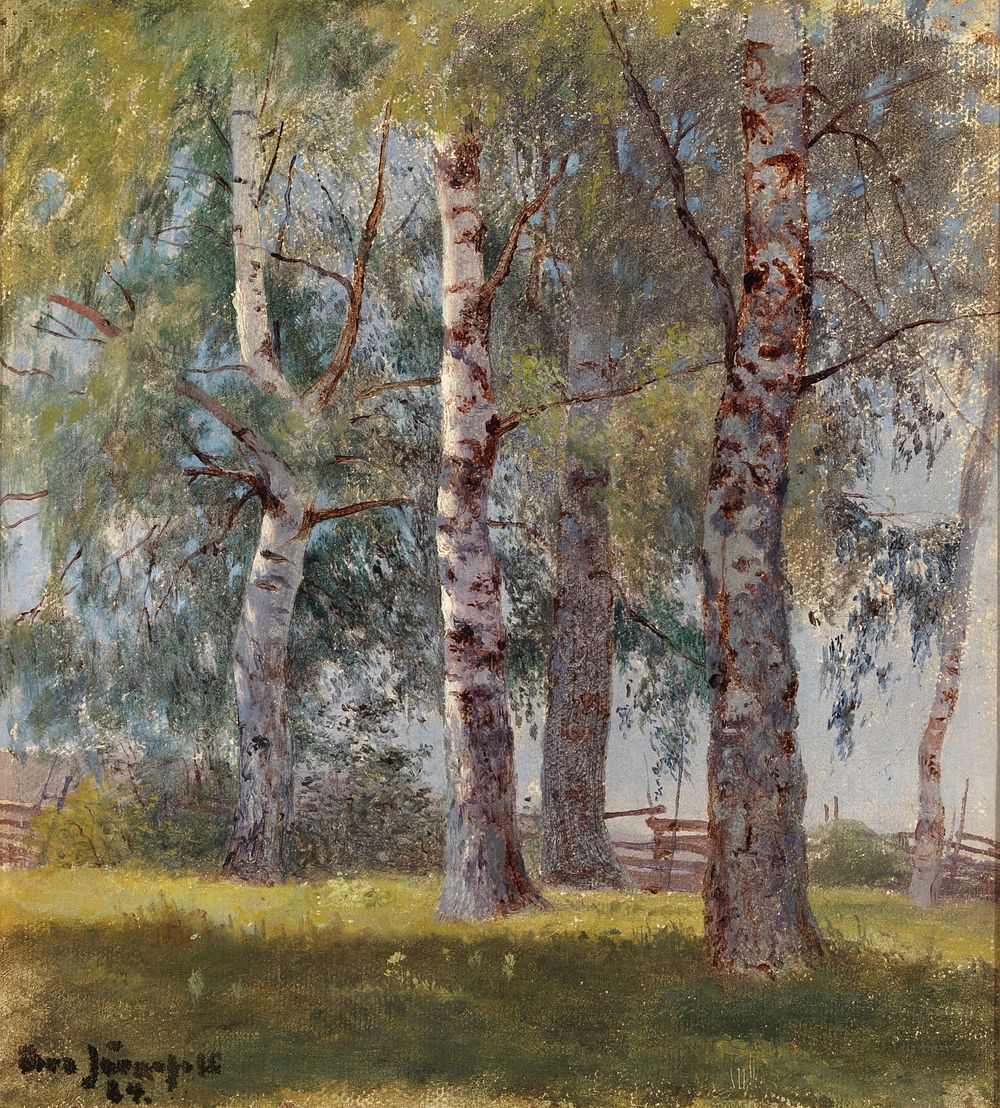 Koivuja, 1884, Eero Järnefelt