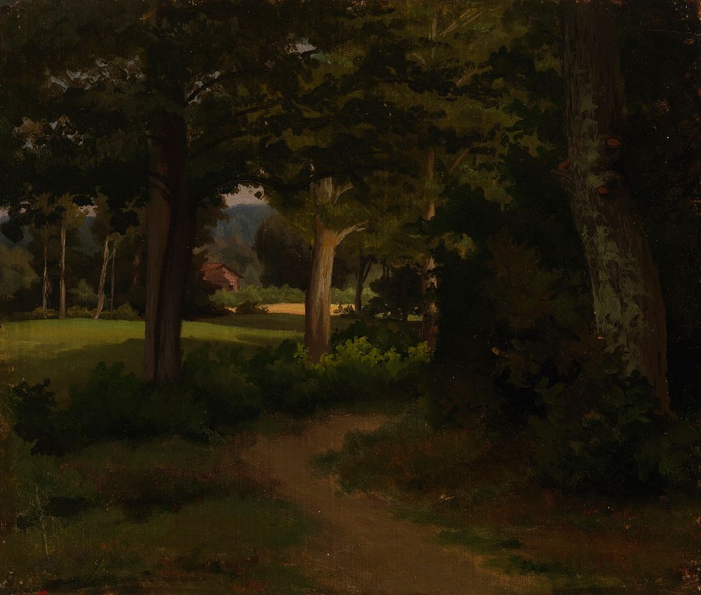 Metsäpolku, maisemaharjoitelma, 1856, Werner Holmberg