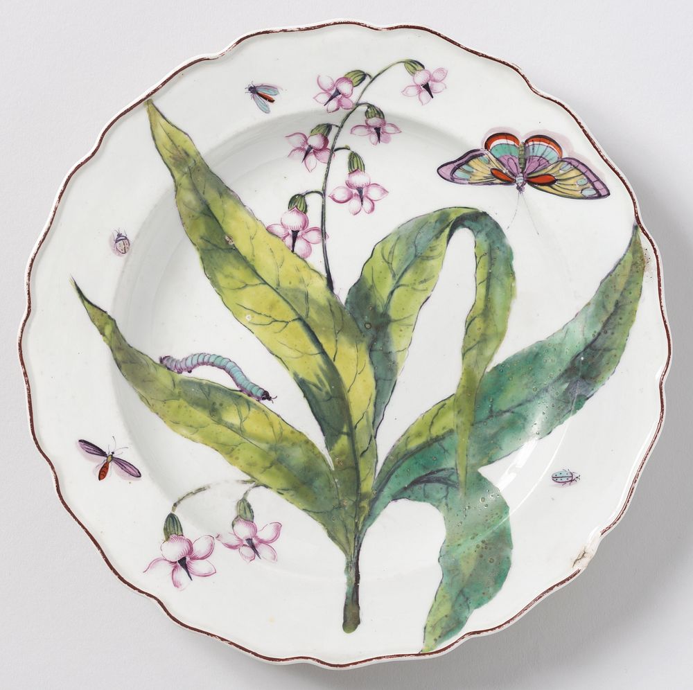 "Hans Sloane" Botanical Plate