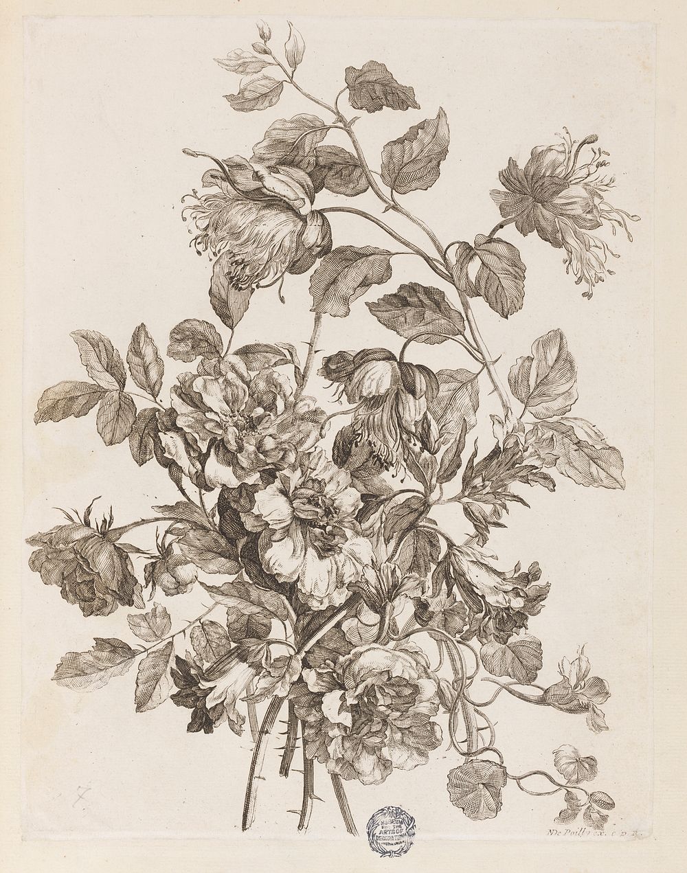 Plate from "Le Livre de toutes sortes de fleurs d'après nature", Jeanbaptiste Monnoyer