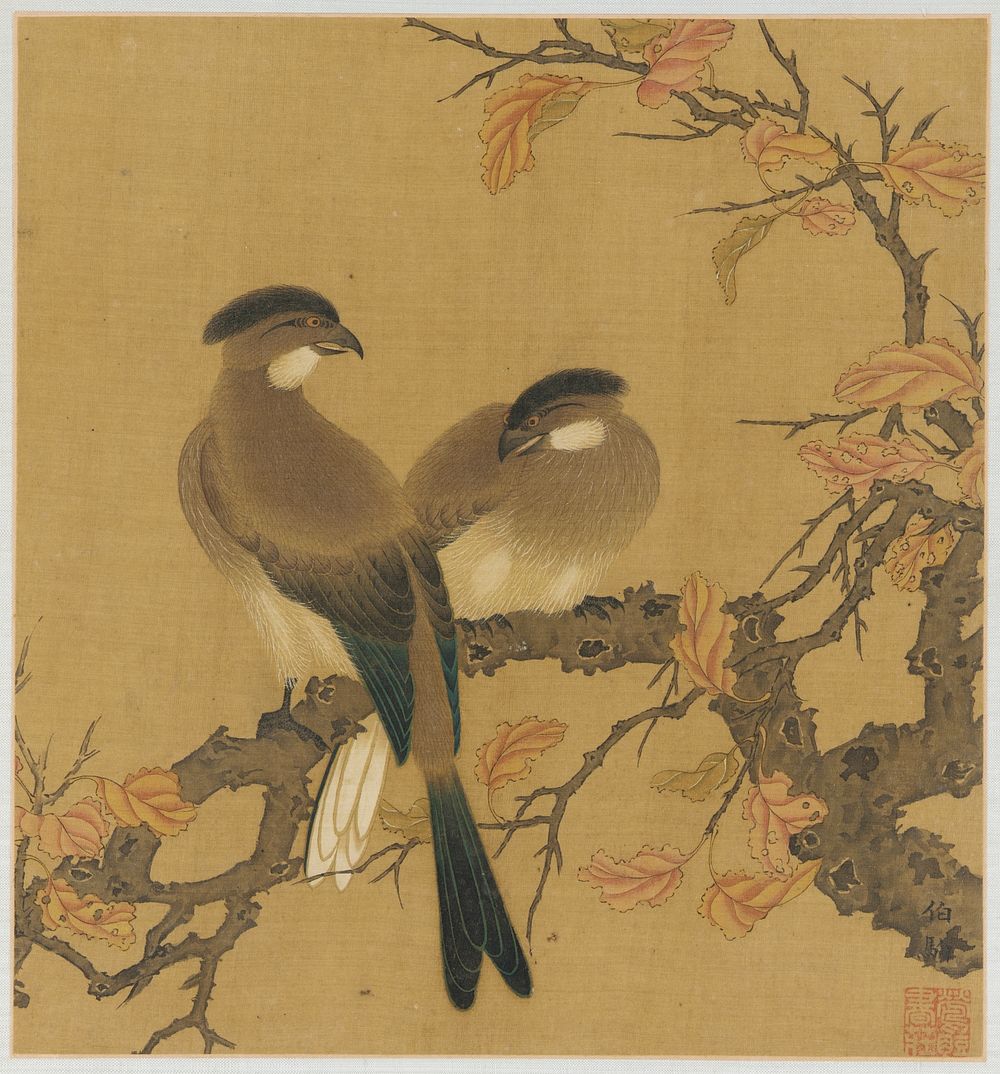 Two crested birds on a branch; autumn leaves