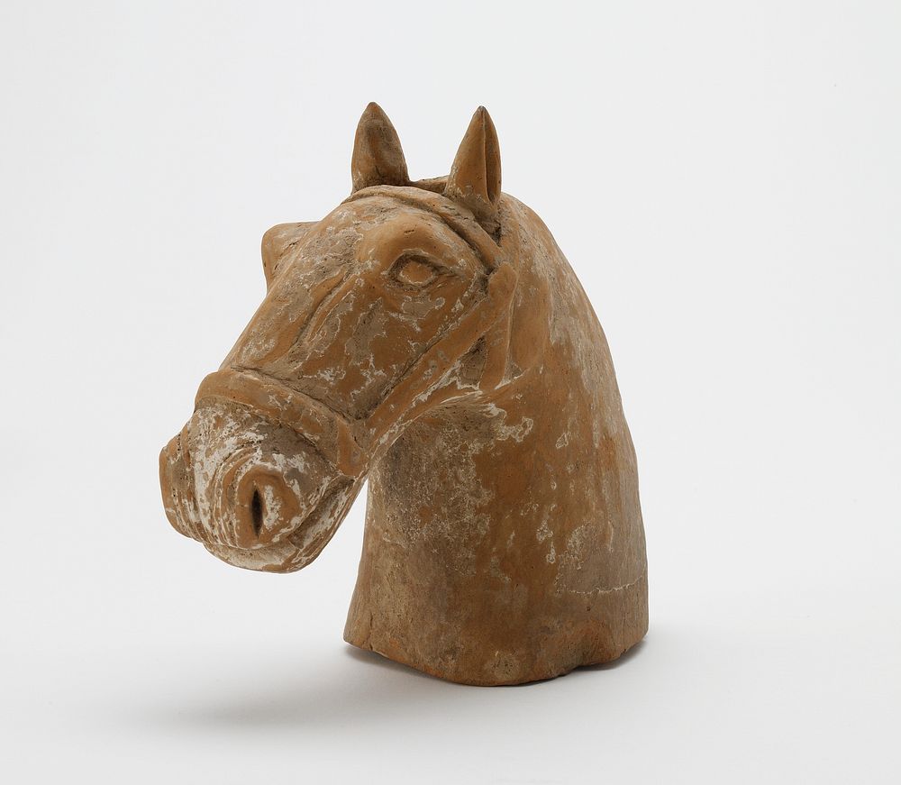 Head of a tomb figure of a horse