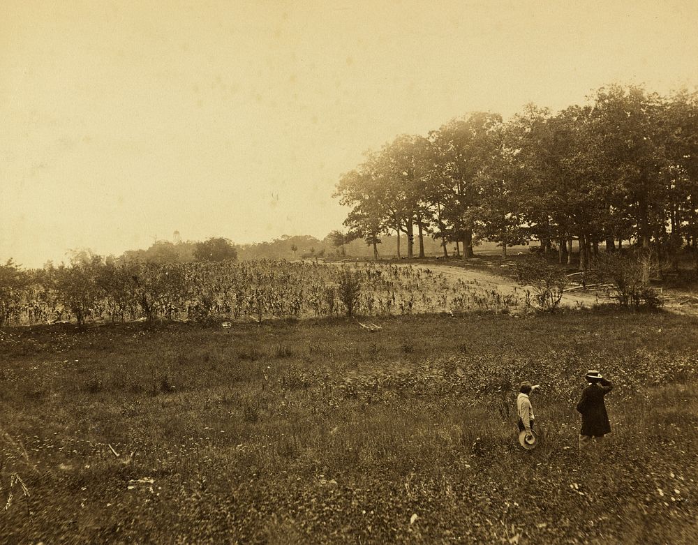 Mathew Brady at Gettysburg