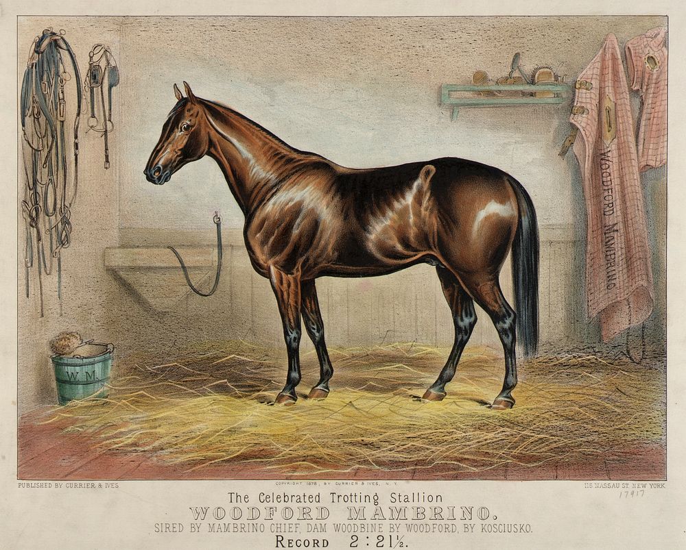 The Celebrated Trotting Stallion Woodford Mambrino