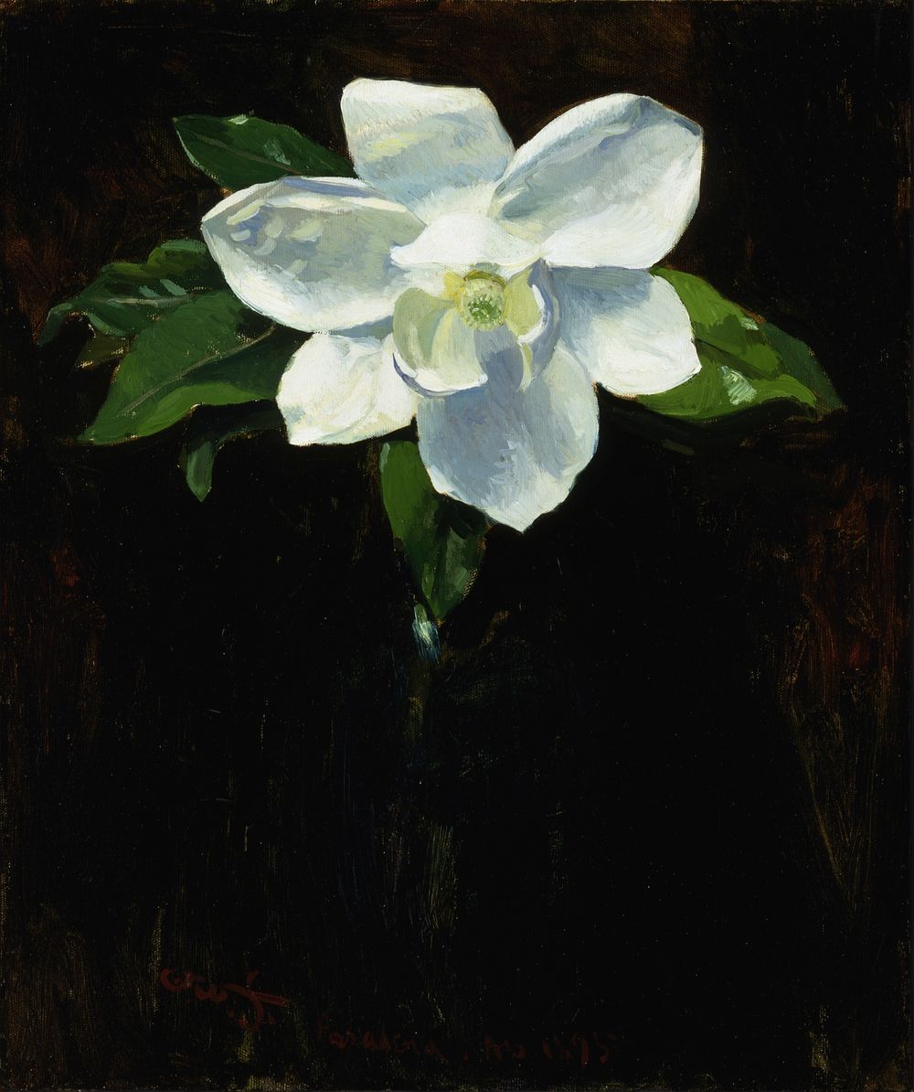 Magnolia, Charles Walter Stetson