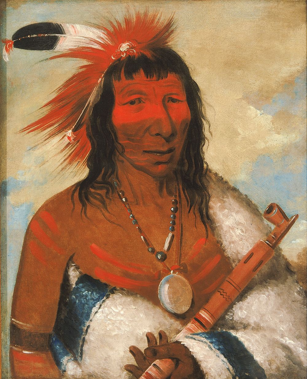 Wá-nah-de-túnk-ah, Big Eagle (or Black Dog), Chief of the O-hah-kas-ka-toh-y-an-te Band by George Catlin