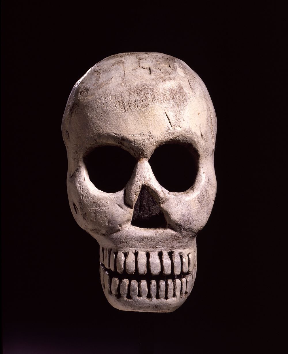 Skull