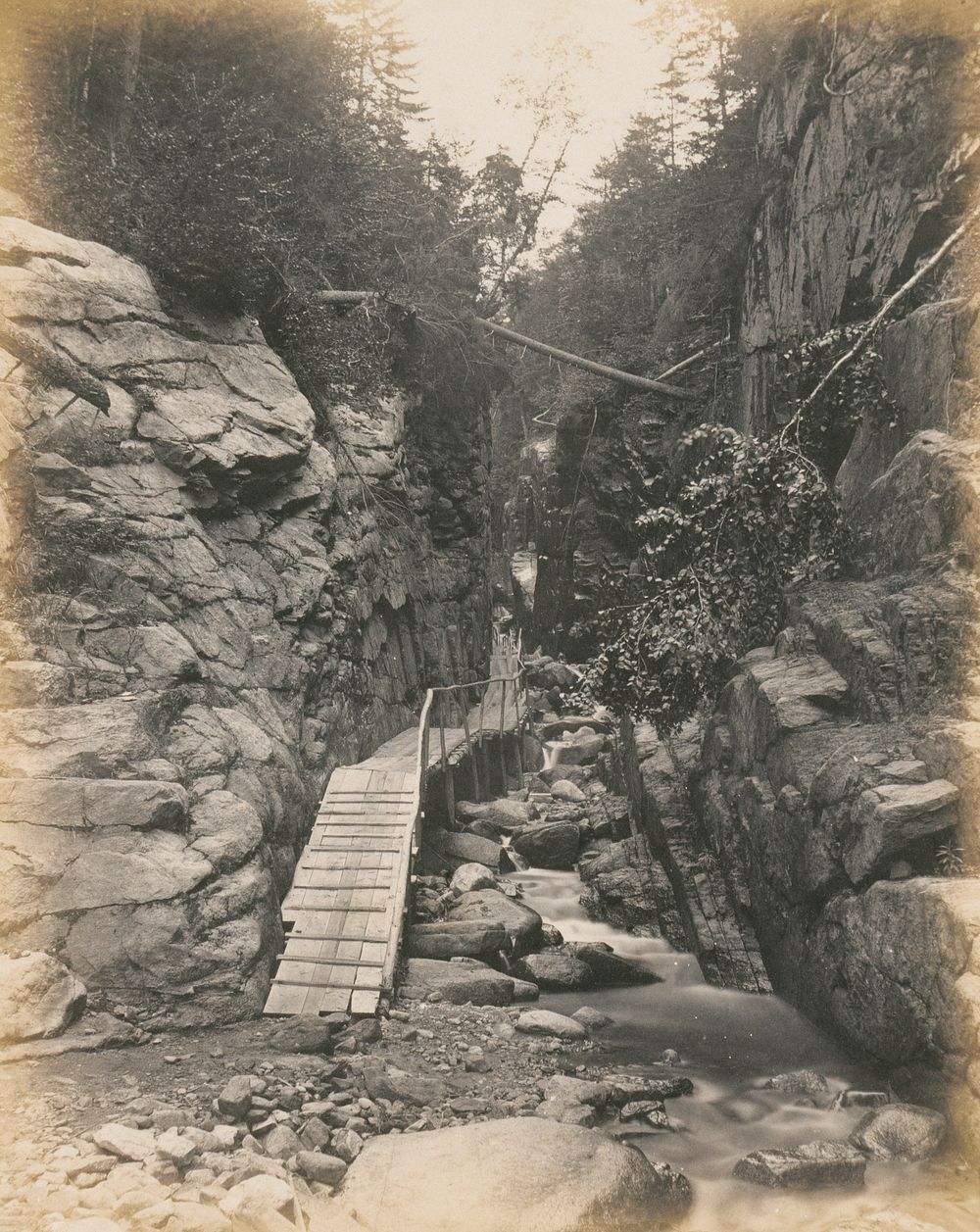 Walkway through a Gorge, White Mountains