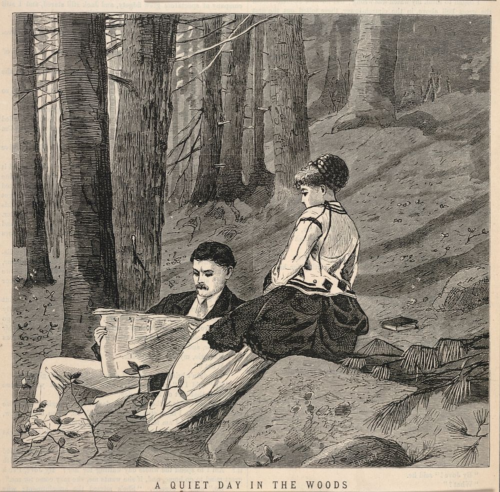 A Quiet Day in the Woods, from Appletons' Journal of Literature, Science, and Art, June 25, 1870 by Winslow Homer