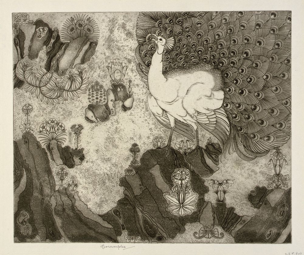 Rock Garden, George Marples