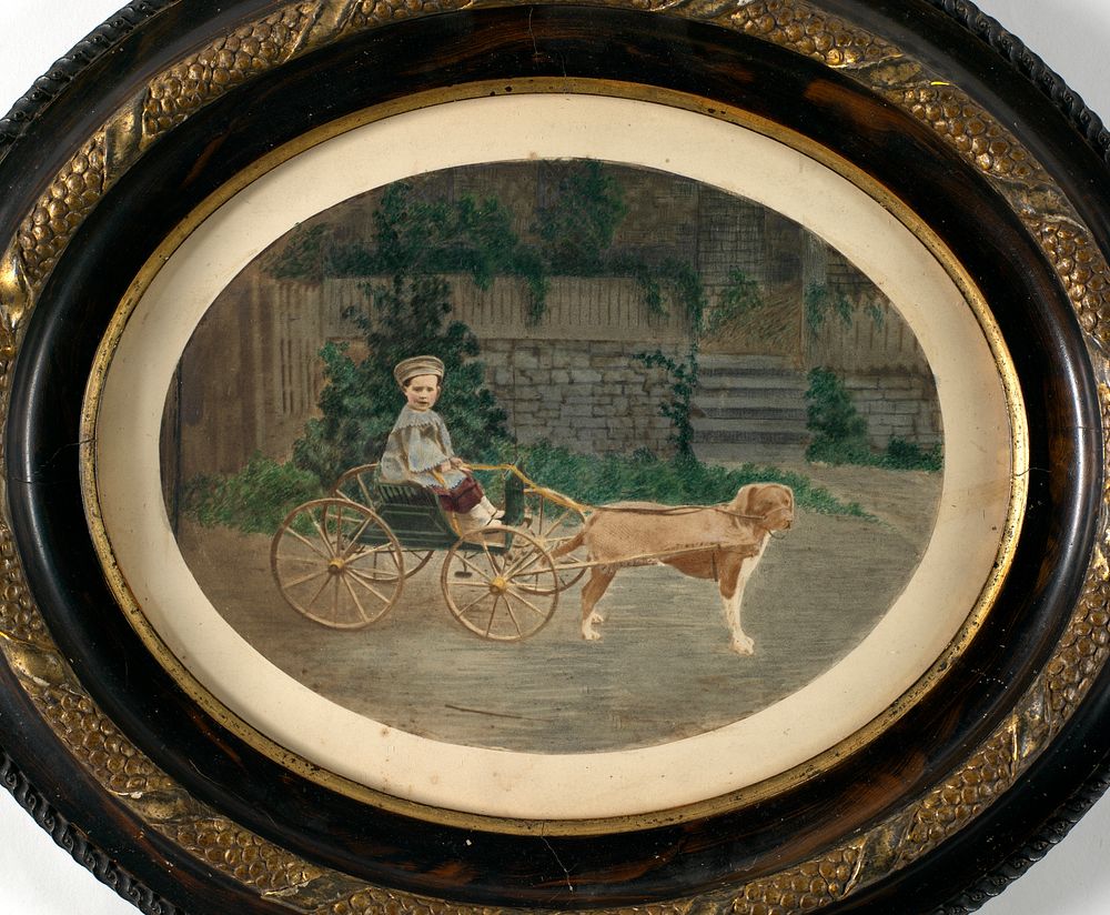 Boy in Dog Cart