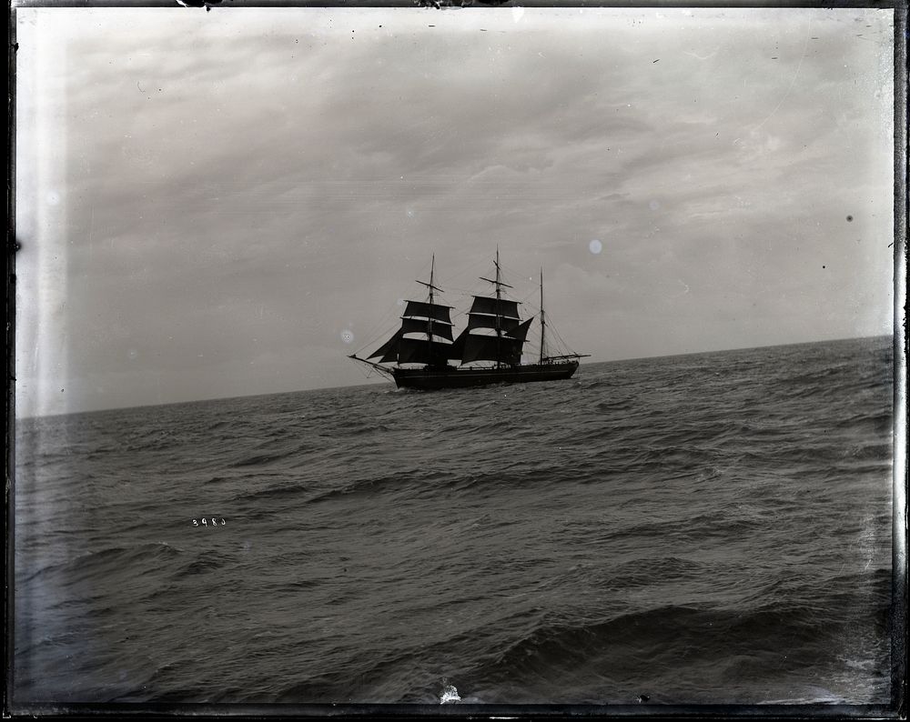 USFC Steamer "Albatross" Survey of Fishing Banks from Newport to Newfoundland, 1885
