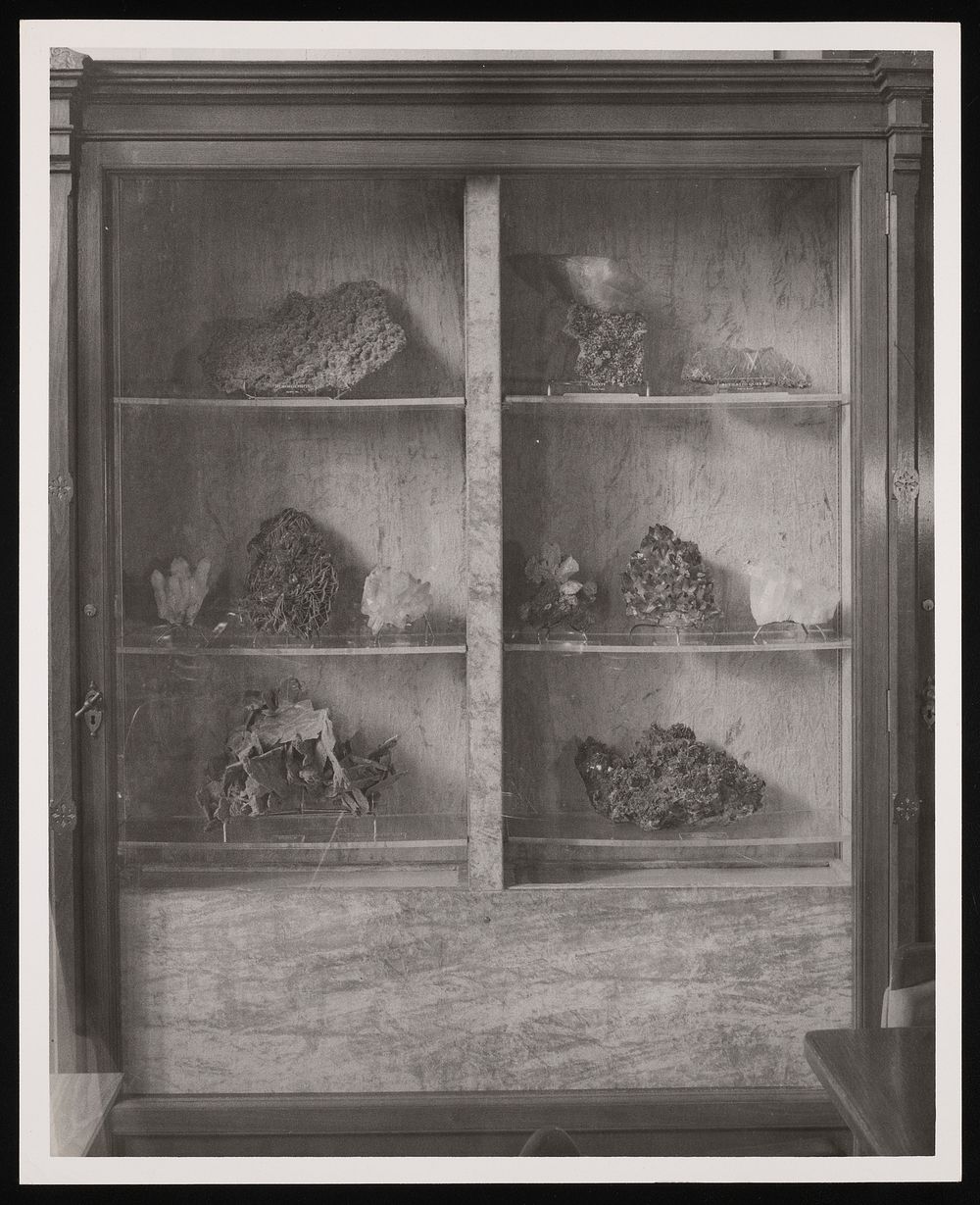 Minerals Exhibit, SI Commons, Smithsonian Institution Building, or Castle