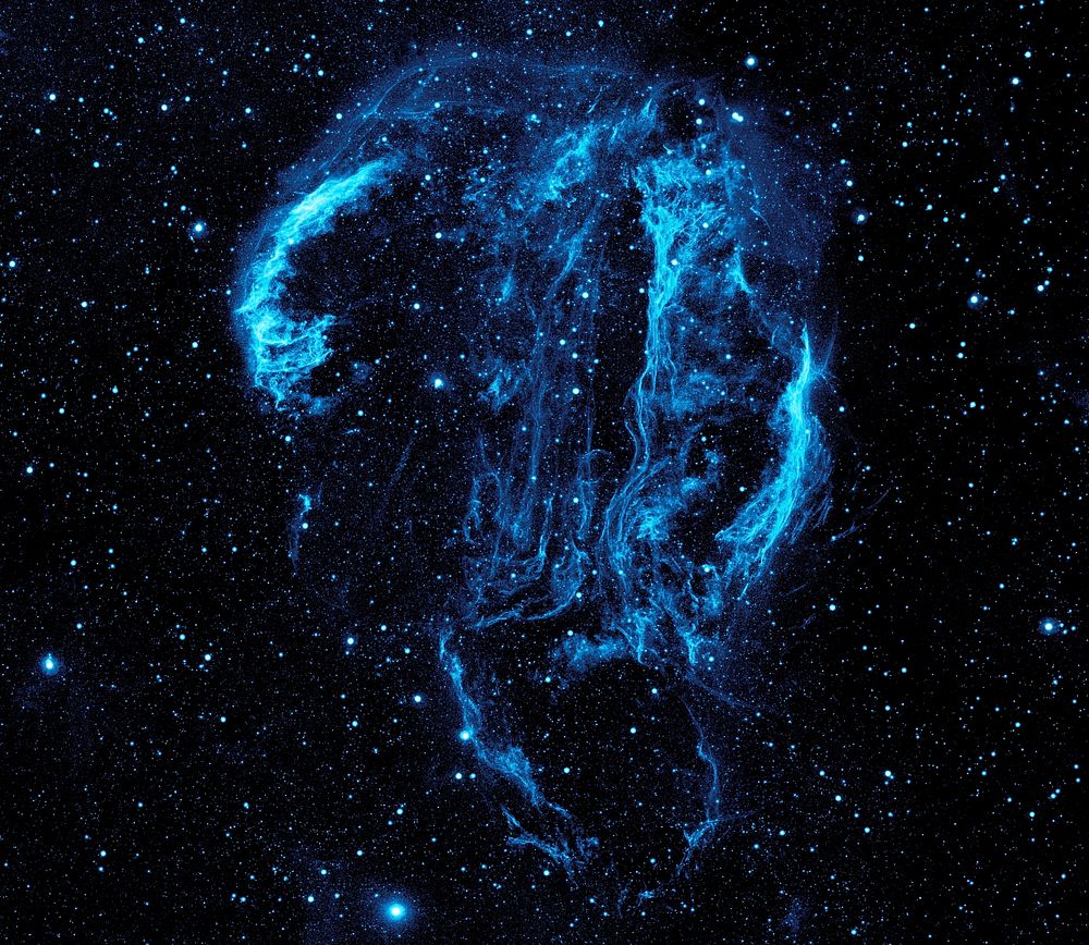 Wispy tendrils of hot dust and gas glow brightly in this ultraviolet image of the Cygnus Loop Nebula, taken by NASA’s Galaxy…
