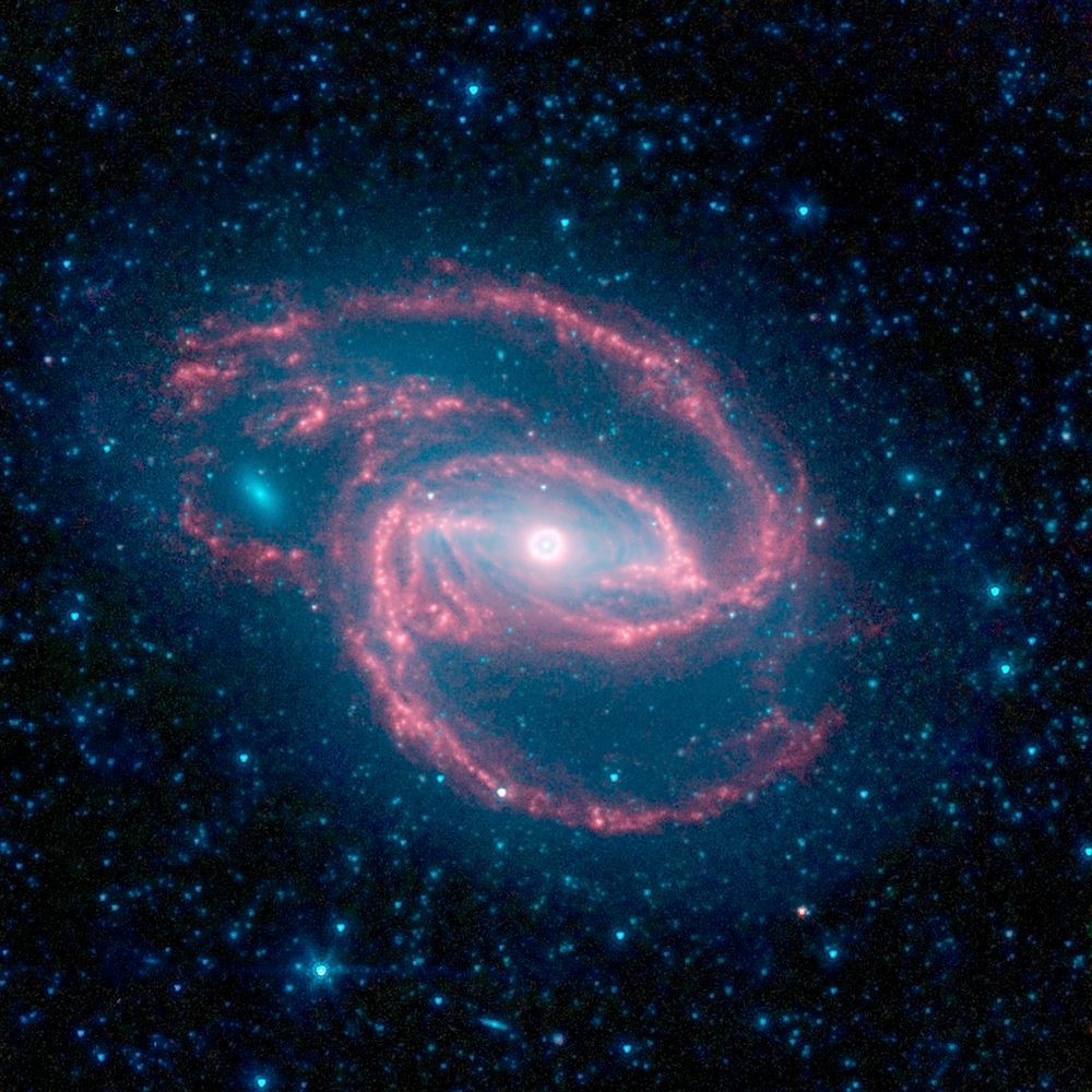 NASA's Spitzer Space Telescope has imaged a wild creature of the dark — a coiled galaxy with an eye-like object at its…