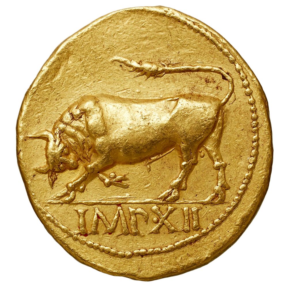 Aureus d'Octave Auguste, Revers : IMP XII taureau chargeant à gauche. Atelier de Lyon, 11 av-J.C. Or, 7,84 gr. Collection…