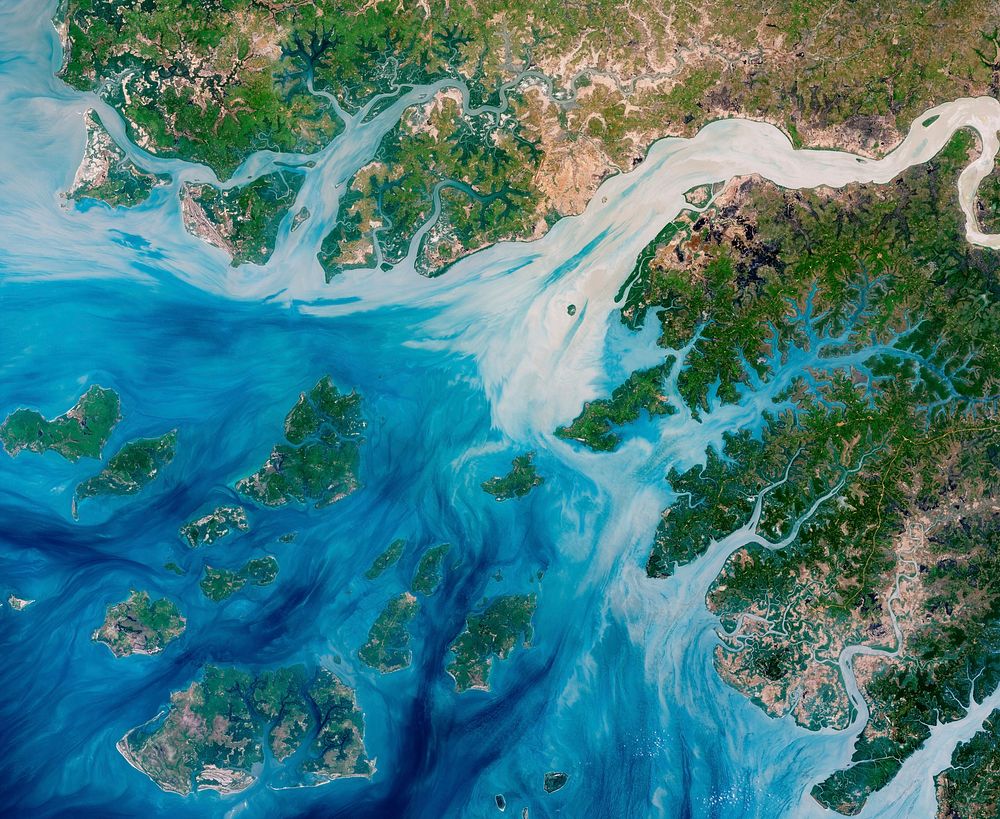 Estuaries near the coast of Guinea–Bissau branch out like a network of roots from a plant. With their long tendrils, the…