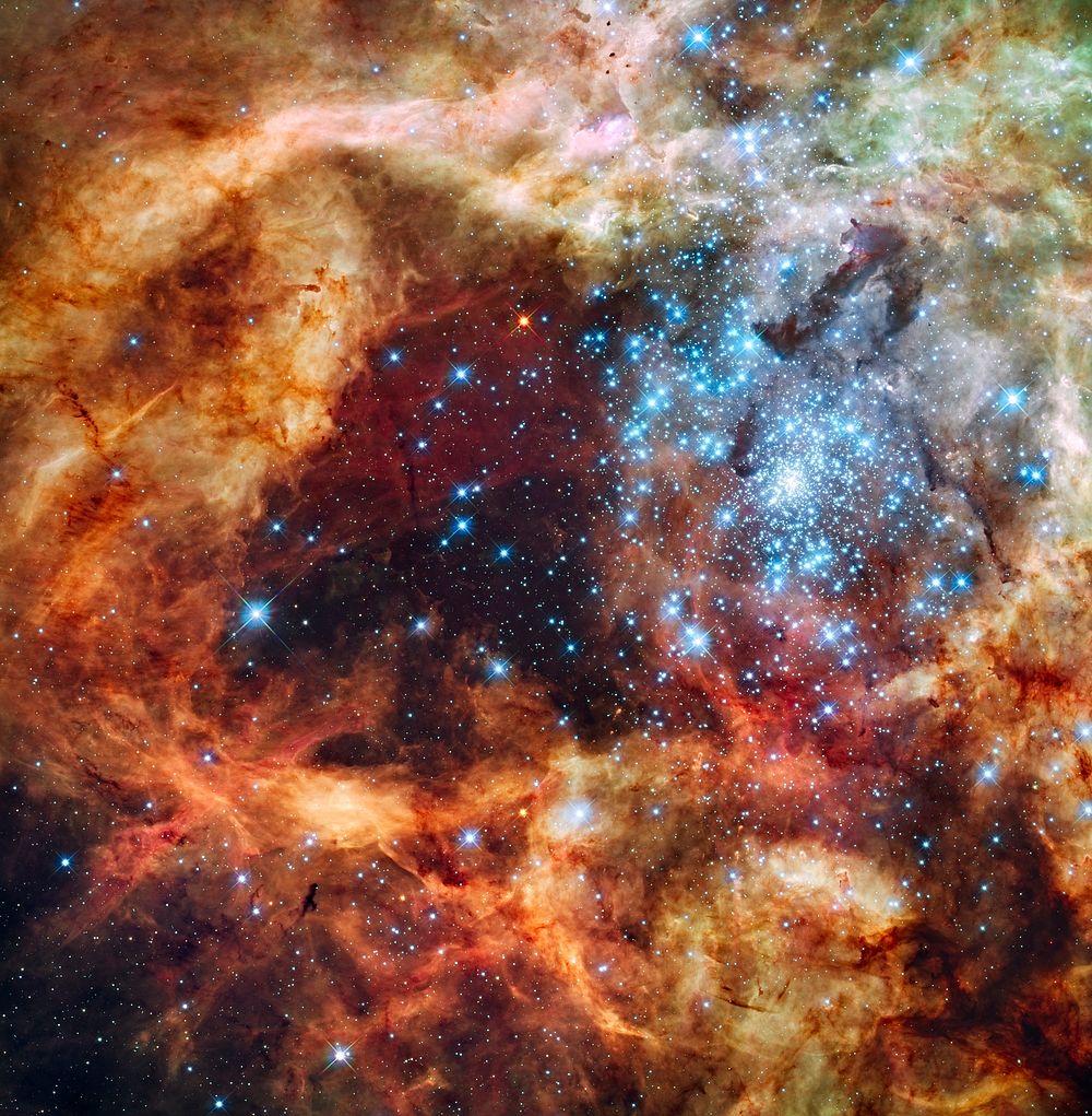 A Hubble Space Telescope image of the R136 super star cluster, near the center of the 30 Doradus Nebula, also known as the…