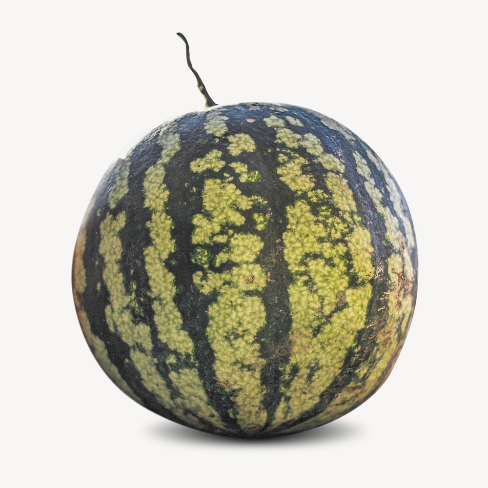 Watermelon fruit isolated design