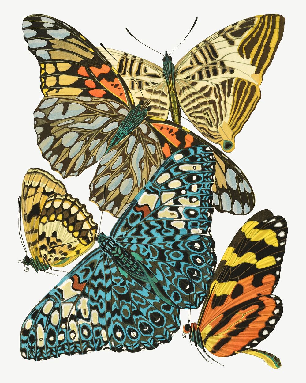 E.A. Séguy's butterfly, vintage insect collage element set psd. Original public domain image from Biodiversity Heritage…