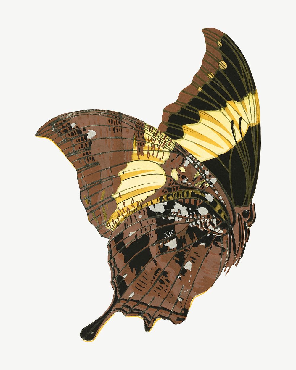 Brown vintage butterfly, insect collage element psd. Remixed by rawpixel.