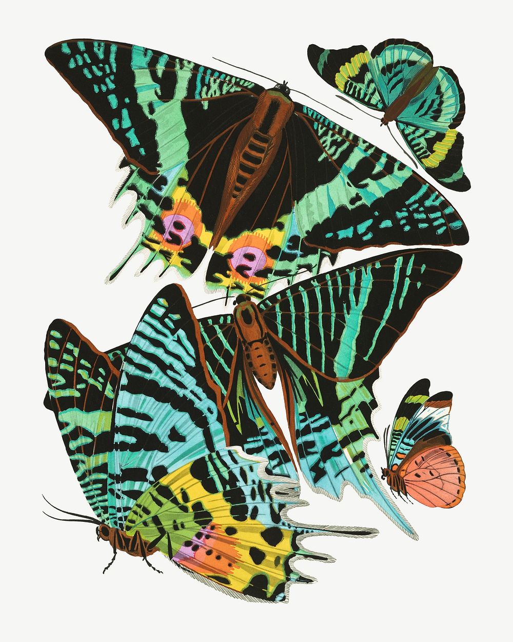 E.A. Séguy's butterfly, vintage insect collage element set psd. Original public domain image from Biodiversity Heritage…