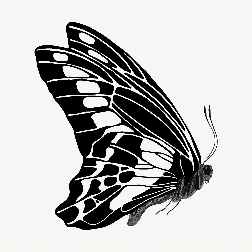 E.A Séguy's vintage butterfly illustration in black and white. Remixed by rawpixel.