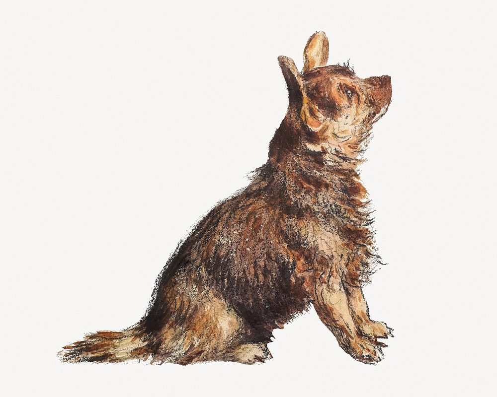 William Hunt's watercolor Terrier dog illustration.   Remastered by rawpixel