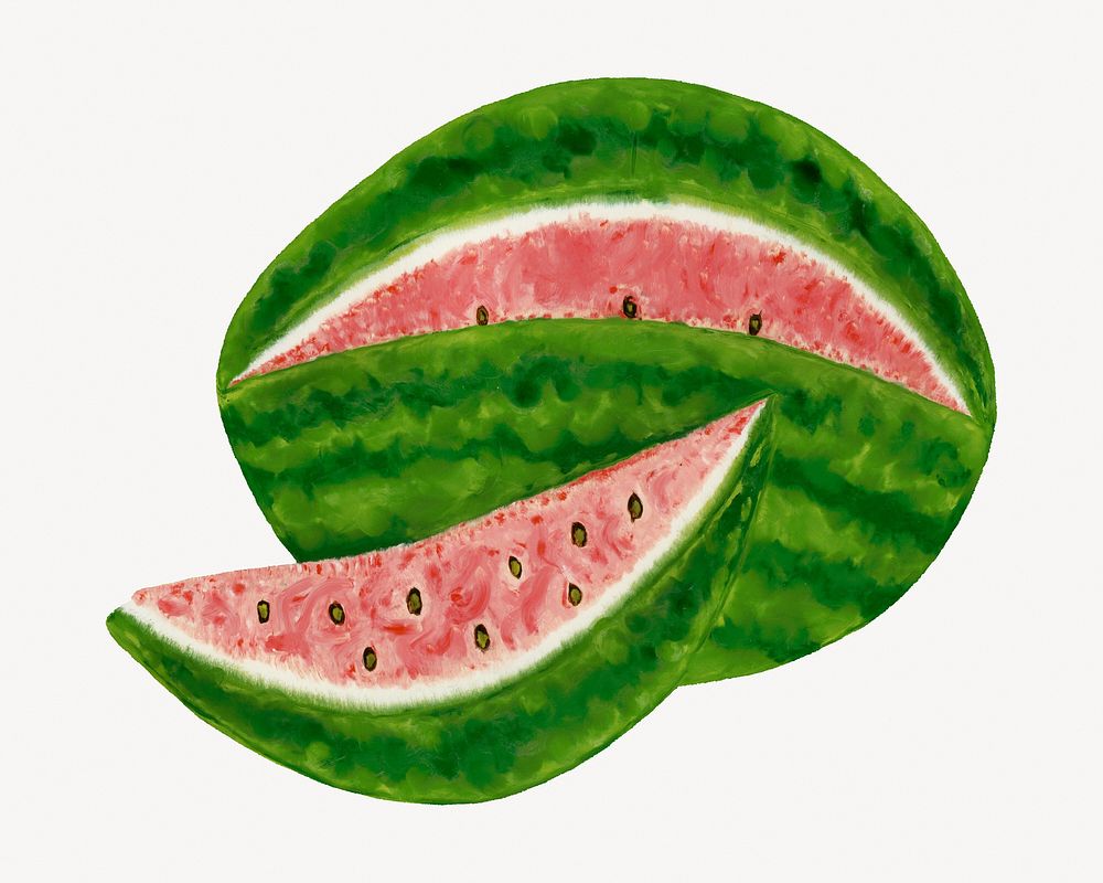 Vintage watermelon, fruit illustration.    Remastered by rawpixel