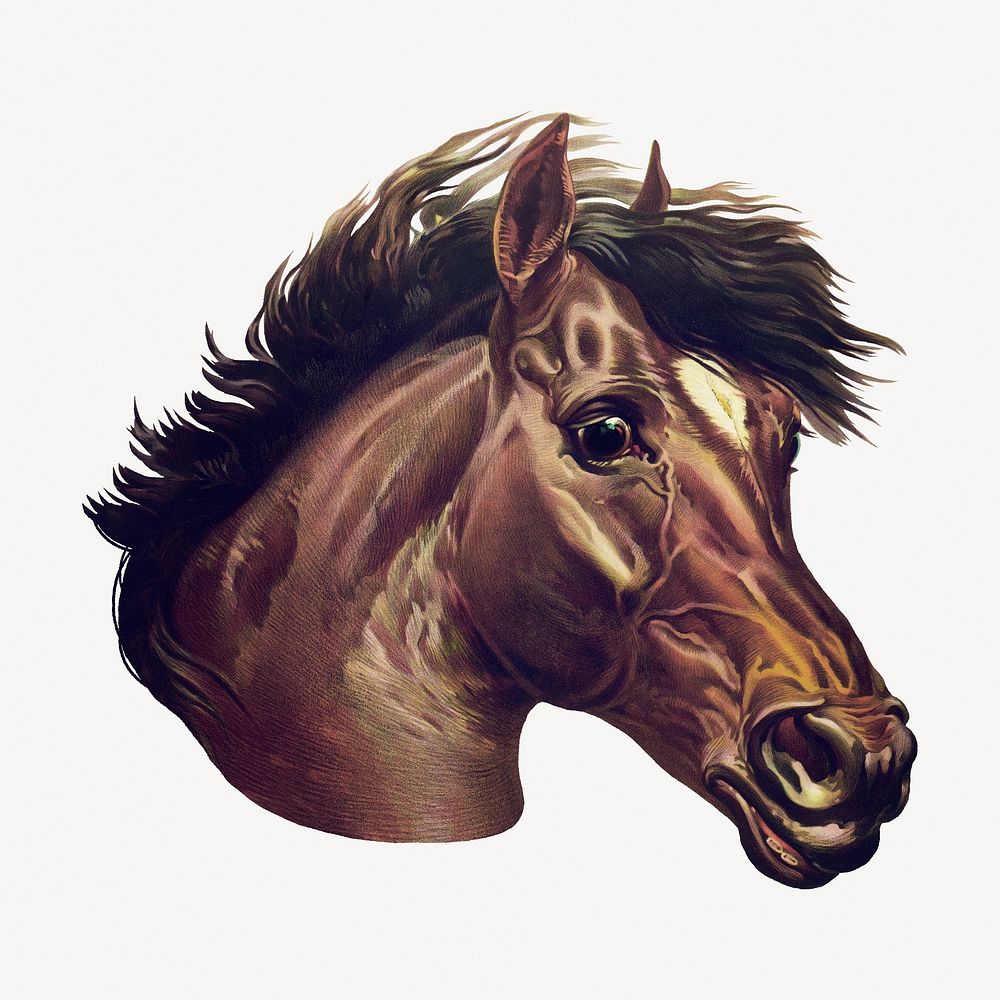 James Payn's vintage horse illustration.  Remastered by rawpixel