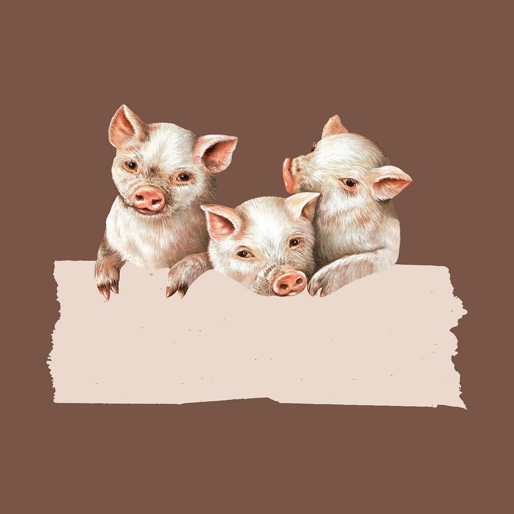 Little pigs with blank frame illustration. Remixed by rawpixel.