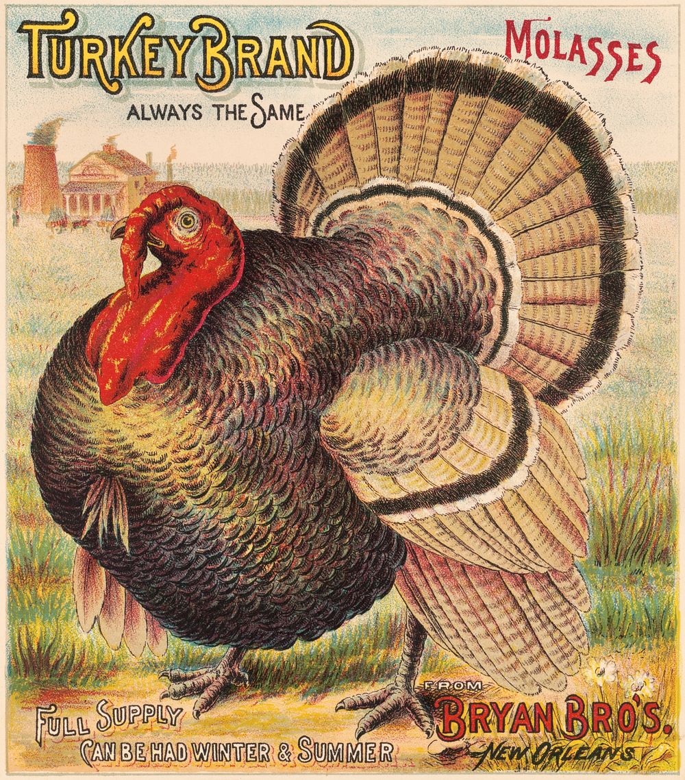 Turkey brand molasses, Bryan Bro's. New Orleans (1891). Original public domain image from the Library of Congress. Digitally…
