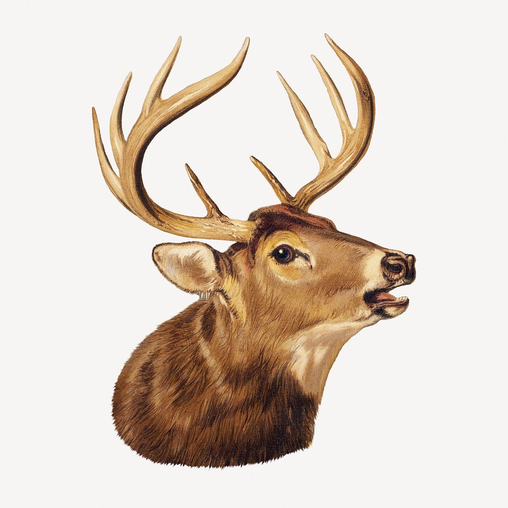 Vintage stag, animal collage element psd.   Remastered by rawpixel