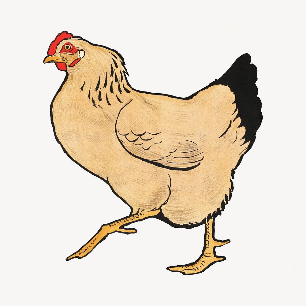Vintage hen, farm animal illustration.  Remastered by rawpixel