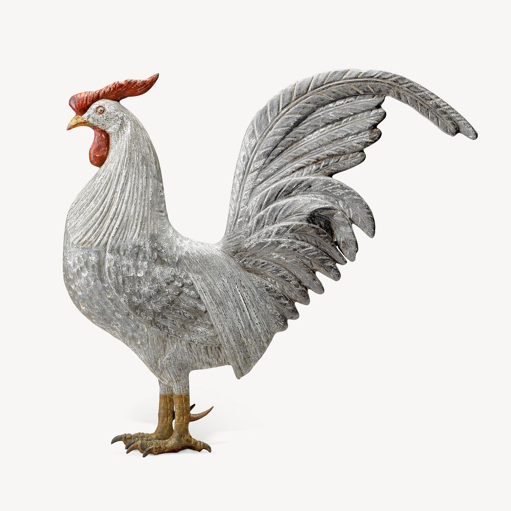 Rooster Images  Free Photos, PNG Stickers, Wallpapers & Backgrounds -  rawpixel