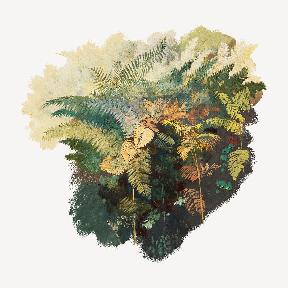 A Study of Ferns, Civitella collage element psd.   Remastered by rawpixel