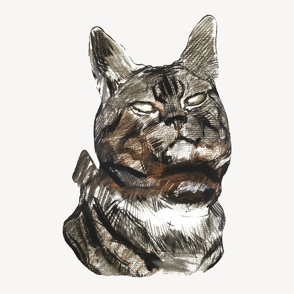 Vintage cat illustration.    Remastered by rawpixel